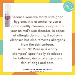 ATOP 7® Mousse – Allergic Skin (Dry Shampoo)