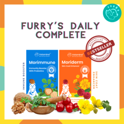 Furry's Daily Complete