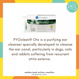 PYOclean® OTO Ear Cleansing
