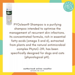 PYOclean® Skin Infection Shampoo